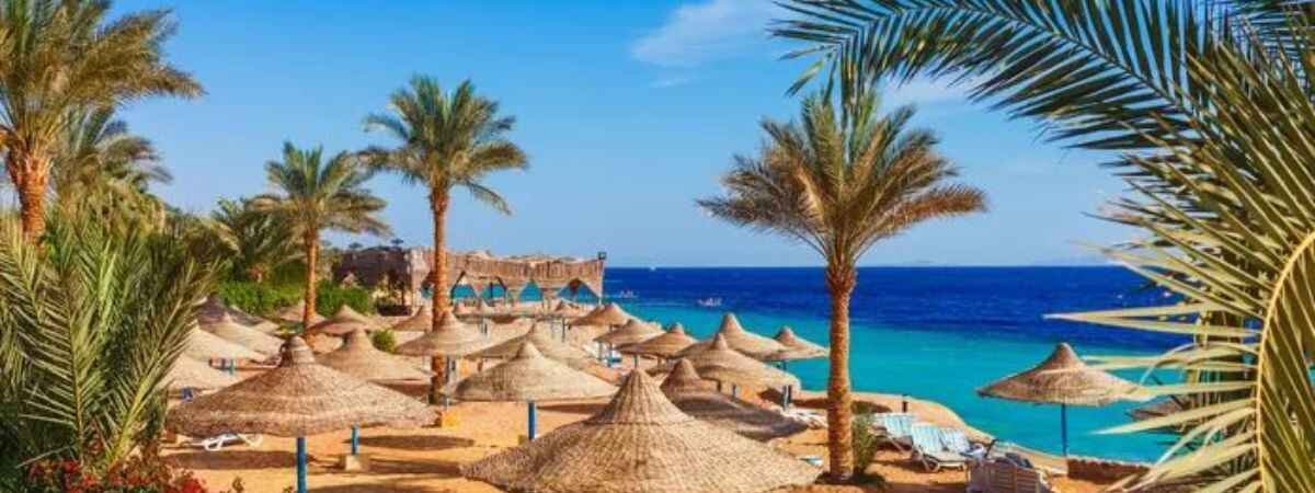 FlyOne Armenia Hurghada Office in Egypt
