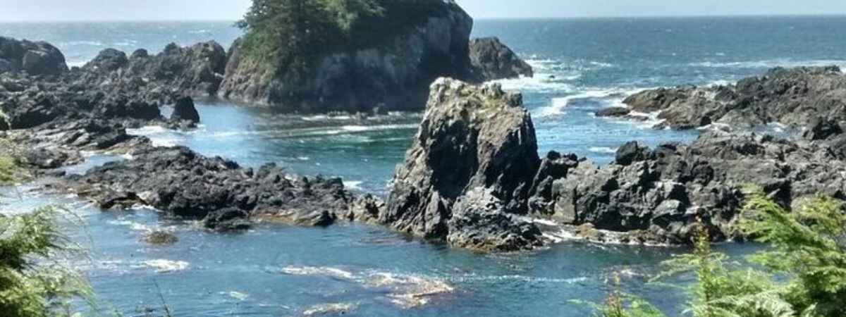 Harbour Air Ucluelet Office in Canada