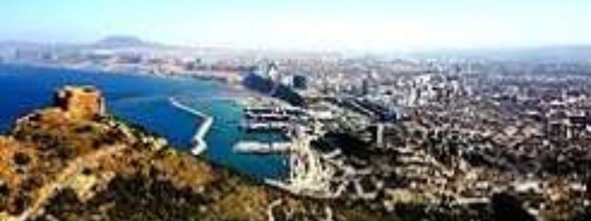 Turkish Airlines Oran Office in Algeria